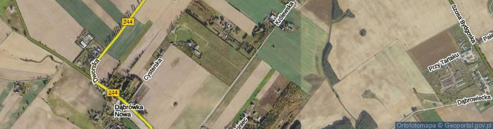 Zdjęcie satelitarne Królewska ul.